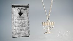 Alternative view of Menorah Relief